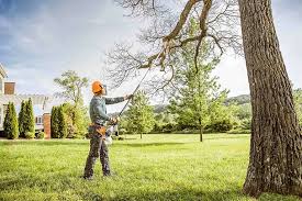  Winfield, MO Tree Care Pros